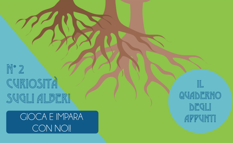 Il quaderno degli appunti 2 – osserviamo gli alberi