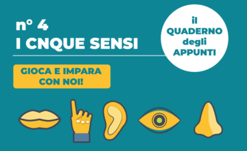 Il quaderno degli appunti 4 – i cinque sensi