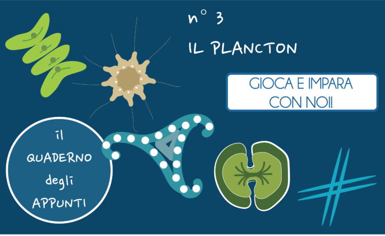 Il quaderno degli appunti 3 – il plancton