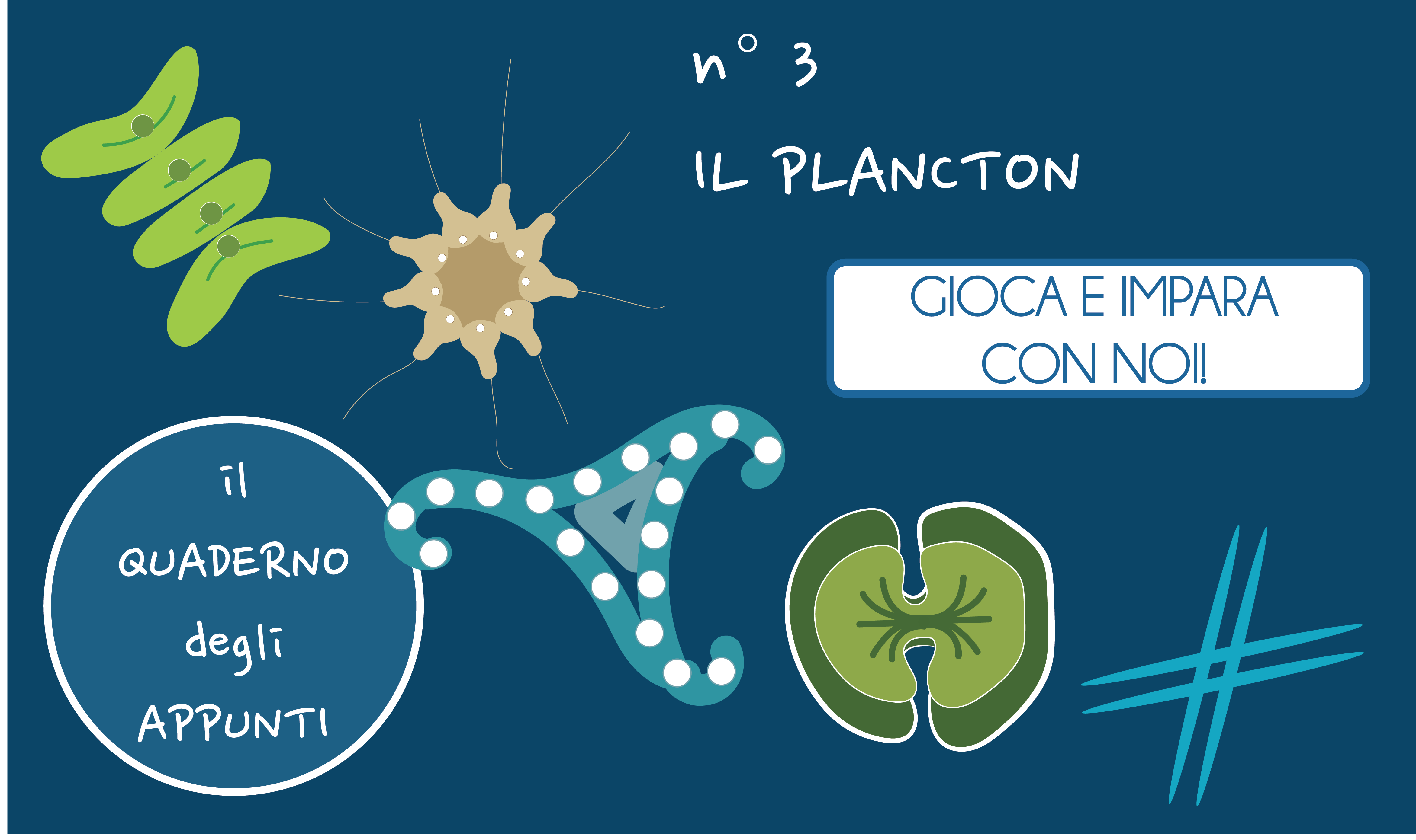 Nella serie “Il quaderno degli appunti” puoi trovare informazioni, attività e giochi. Lo scopo è allenare tutte le abilità fondamentali nel mondo della scienza: spirito di osservazione, attenzione, concentrazione, creatività e molte altre. In questa terza scheda parliamo di plancton. Scopri le caratteristiche del plancton e soprattutto… aguzza la vista! Clicca qui per scaricare le […]