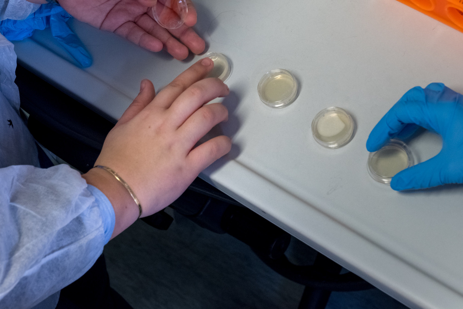 Potremmo immaginarci il mondo e la nostra vita senza i benefici della scienza e dalla tecnologia? Certamente no. Affinché questi benefici raggiungano veramente tutte e tutti, è necessaria una vera alleanza tra scienza e società. È per questo che nel 2012 è nato il programma SISSA for schools: raccontare la scienza e la ricerca come […]