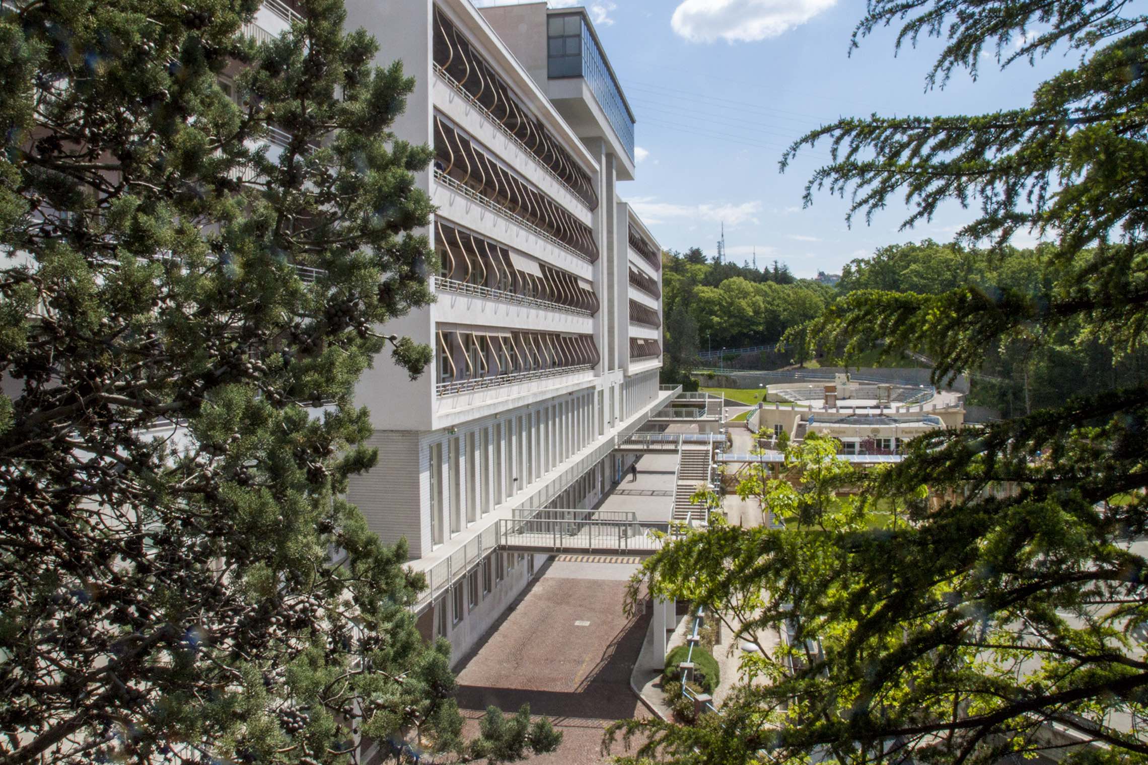 La SISSA è una scuola di dottorato, cioè una scuola in cui giovani laureate e laureati provenienti da tutto il mondo imparano il mestiere della ricerca scientifica. Accompagnati da un ricercatore o una ricercatrice più esperta, sviluppano un progetto di ricerca per circa quattro anni, al termine dei quali ottengono il diploma di PhD, che […]