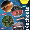 La rivista di SISSA for Schools online sfogliabile